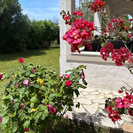 Sirios Apartment Ахарави Екстериор снимка